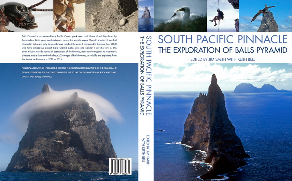 south-pacific-pinnacle
